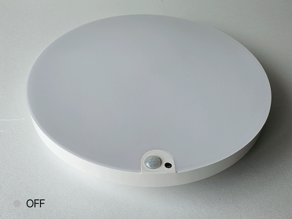 LED 글로리 직부 / 센서 20W 