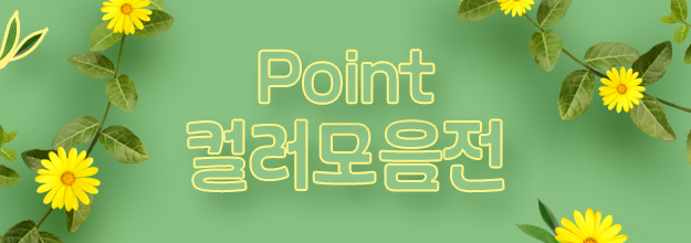 Point! 컬러조명 모음전