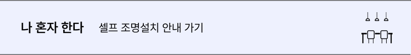 나 혼자 한다